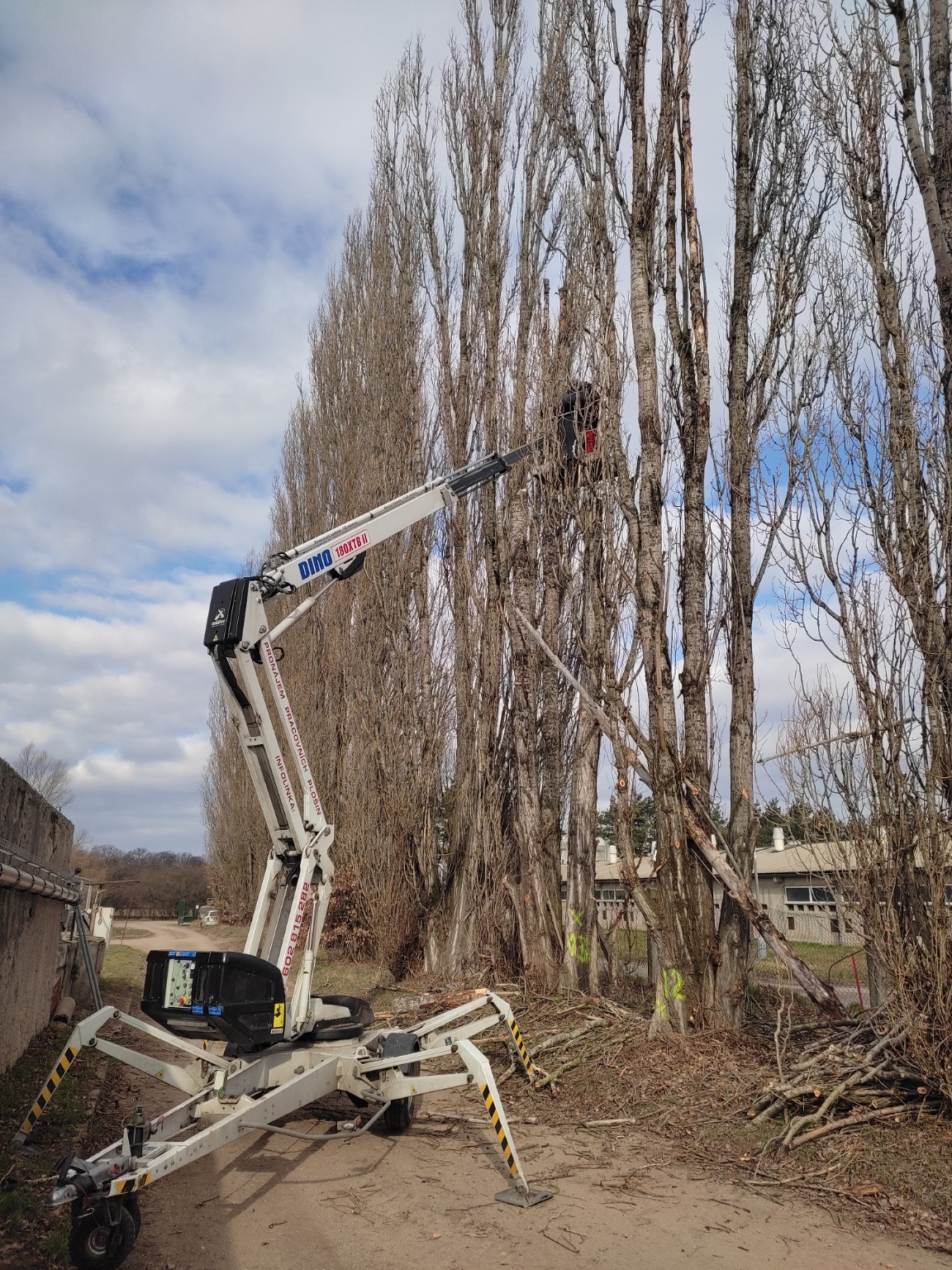 Kácení stromu z pracovní plošiny