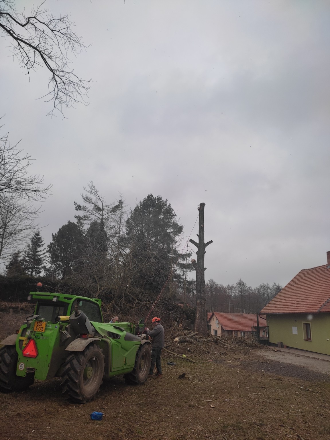 Kácení stromu s využitím techniky